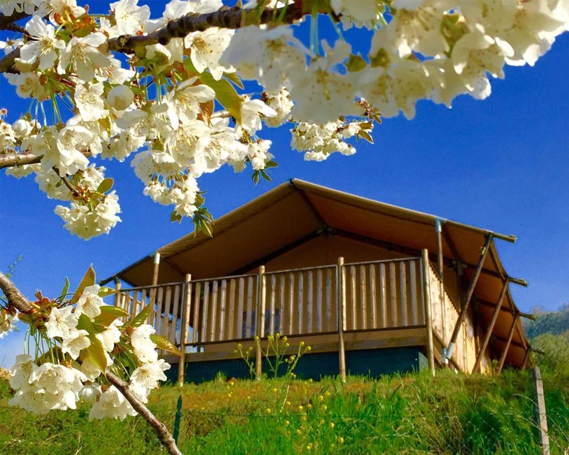 Villaladiva Boutique Glamping มาสซิญาโน ภายนอก รูปภาพ